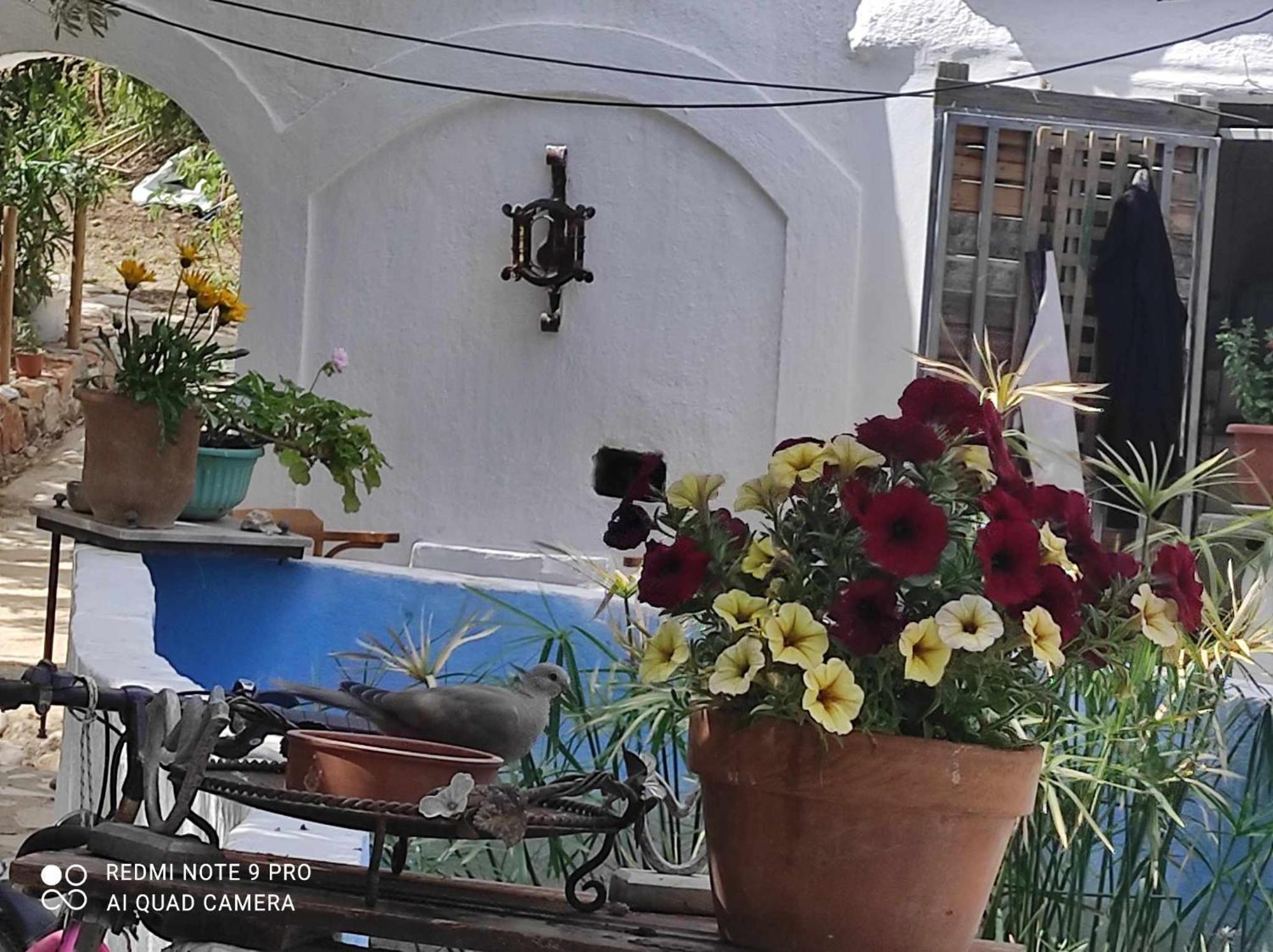 Palaiokastro  Gabriellas Garden المظهر الخارجي الصورة